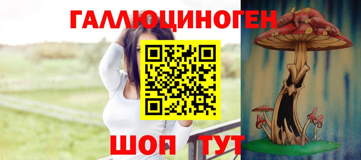 Лесной  Галлюциногенные грибы MAGIC MUSHROOMS  Вход с VPN 